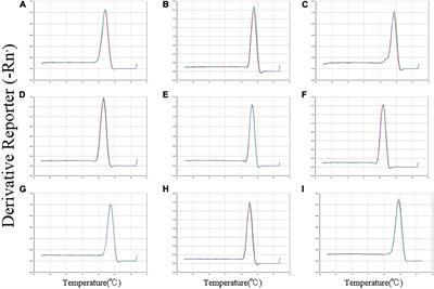 Selection and Validation of Reference Genes for RT-qPCR Normalization in Bradysia odoriphaga (Diptera: Sciaridae) Under Insecticides Stress